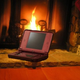 Illustration for article titled The DS and DSi Gift Guide